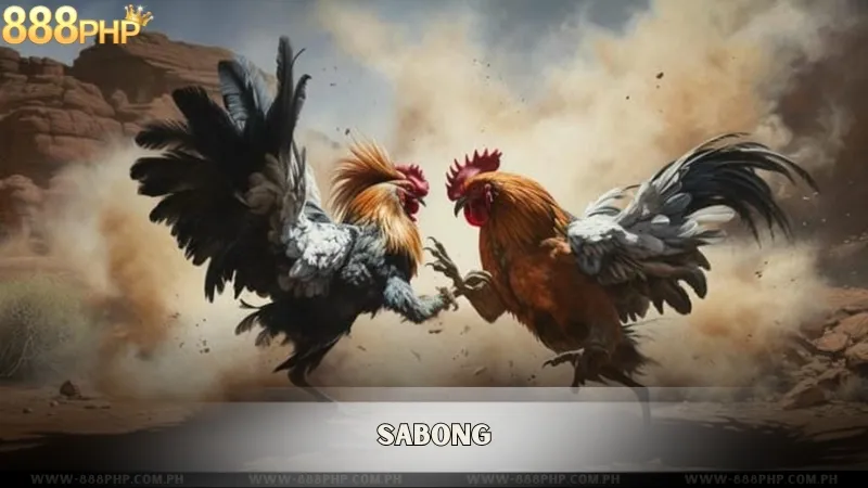 Sabong